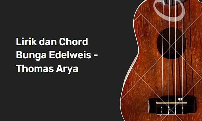 Chord Bunga Edelweis (Foto: Parboaboa/Jesica)