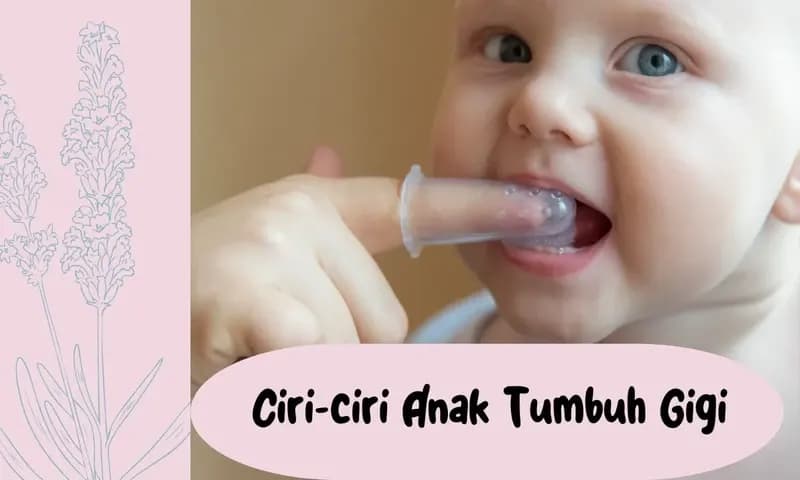 Ciri-ciri Anak Tumbuh Gigi (Foto: Canva)