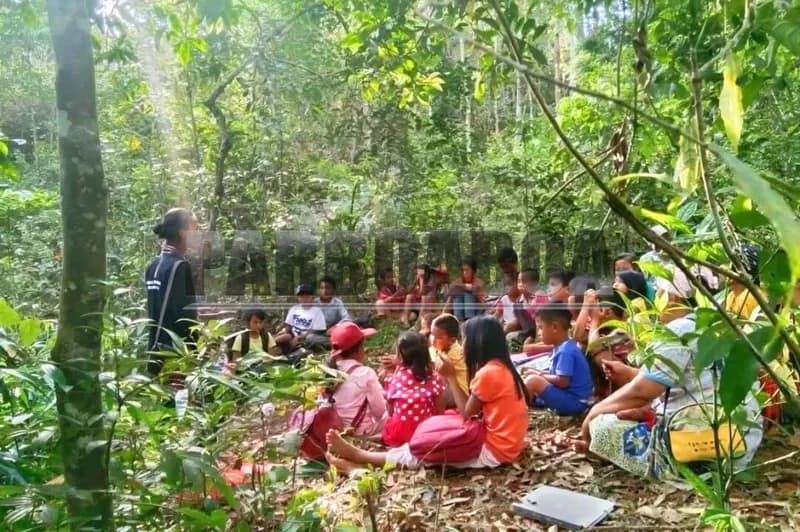 Belajar di hutan adat (foto: Fidel Castro/PARBOABOA)